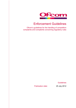 Enforcement Guidelines