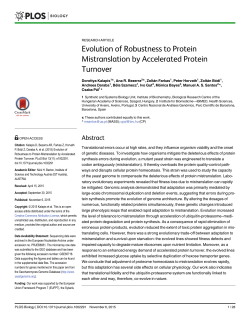 Evolution of Robustness to Protein Mistranslation by Accelerated