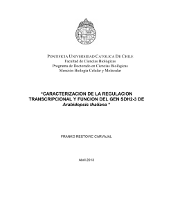 CARACTERIZACION DE LA REGULACION