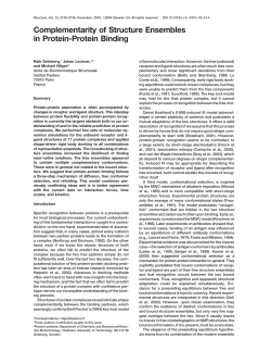 Complementarity of Structure Ensembles in Protein-Protein