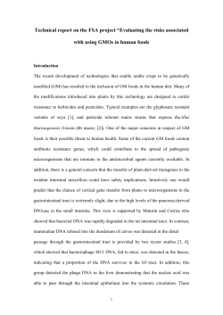 Technical report on the FSA project &ldquo;Evaluating the risks associated