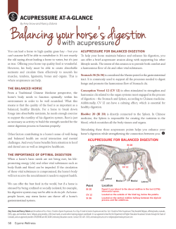 Balancing your horse`s digestion - Tallgrass Animal Acupressure