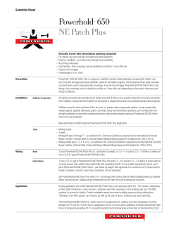 Powerhold&trade; 650 NE Patch Plus