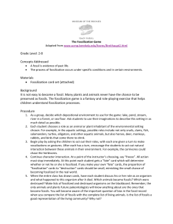 Fossilization Game - Museum of the Rockies