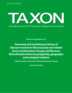 Taxonomy and evolutionary history of Alyssum montanum