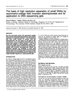 The basis of high resolution separation of small DNAs by