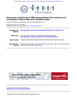 nucleoplasm reflects alternative epiallelic states Subnuclear