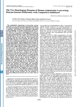The Two Homologous Domains of Human Angiotensin I