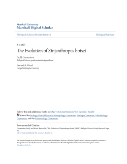 The Evolution of Zinjanthropus boisei