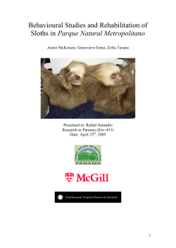 Behavioural Studies and Rehabilitation of Sloths