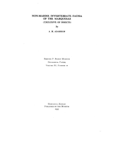 non-marine invertebrate fauna of the marquesas