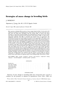 Strategies of mass change in breeding birds