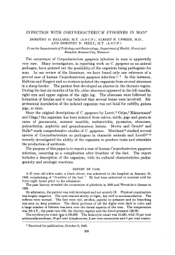 INFECTION WITH CORYNEBACTERIUM PYOGENES W MAN* The