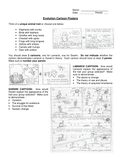 Evolution Cartoon Posters