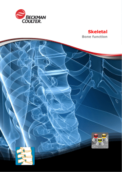 Skeletal - Bone function
