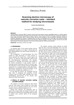 Scanning electron microscopy of vascular corrosion casts