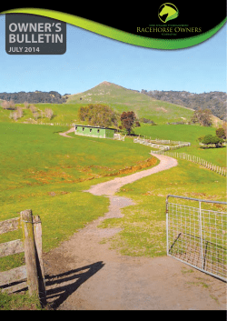 to - New Zealand Thoroughbred RACEHORSE OWNERS