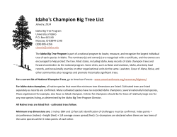 Idaho`s Champion Big Tree List