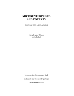 microenterprises and poverty - Inter