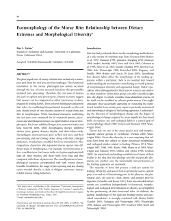 Ecomorphology of the Moray Bite: Relationship between Dietary