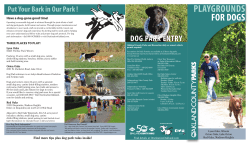 Dog Park - Oakland County, Michigan