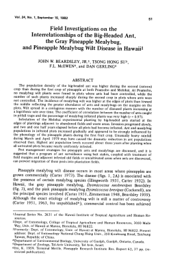 and Pineapple Mealybug Wilt Disease in Hawaii!