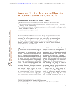 Molecular Structure, Function, and Dynamics of Clathrin