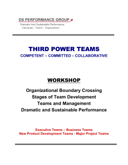 Third Power Teams - DS Performance Group