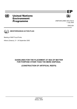 GUIDELINES FOR THE PLACEMENT AT SEA OF MATTER FOR