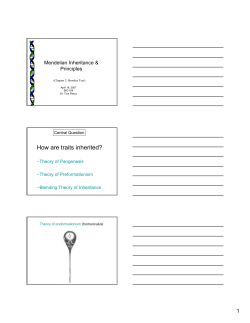 How are traits inherited?