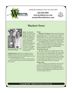 Spring09 Issue - Wachtel Tree Science