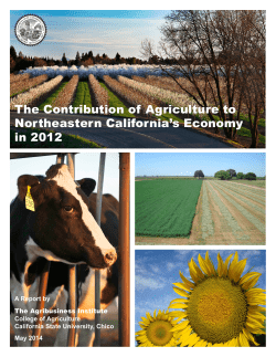 Contribution of Agriculture to Northeastern California`s