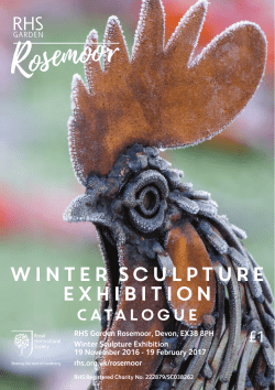 Rosemoor Sculpture Catalogue 16/17