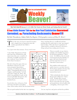 JAN 0 - The Weekly Beaver!