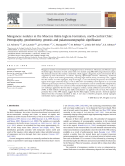 Manganese nodules in the Miocene Bahia Inglesa Formation, north