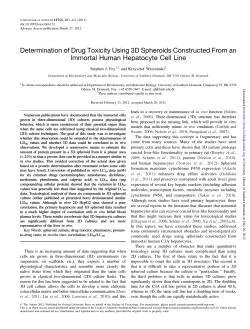 Determination of Drug Toxicity Using 3D Spheroids