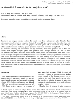 A hierarchical framework for the analysis of scale