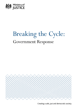 Breaking the Cycle - Government Response
