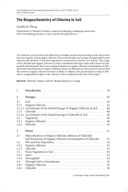 The Biogeochemistry of Chlorine in Soil