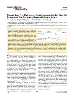 Nanoparticles-Free Fluorescence Anisotropy Amplification Assay for