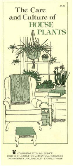 house plants - CAHNR Communications Resource Center