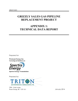 GRIZZLY SALES GAS PIPELINE REPLACEMENT PROJECT
