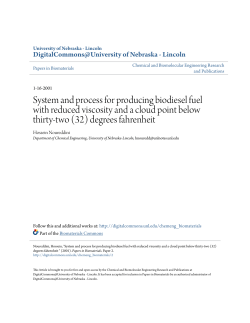 System and process for producing biodiesel fuel with