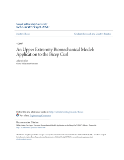 An Upper Extremity Biomechanical Model: Application to the Bicep
