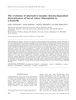 The evolution of alternative morphs: density