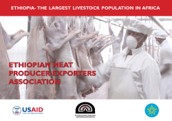 ethiopian meat producer-exporters association