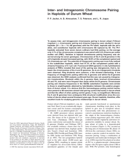 Inter- and Intragenomic Chromosome Pairing in Haploids of Durum