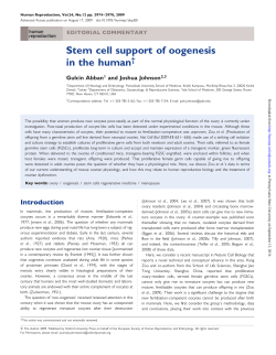 Stem cell support of oogenesis in the human