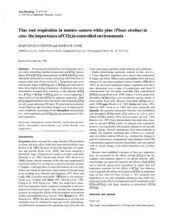 Fine root respiration in mature eastern white pine (Pinus strobus} in