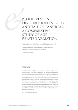 BLOOD VESSELS DISTRIBUTION IN BODY AND TAIL OF